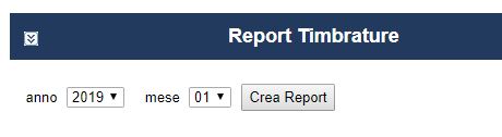 reportistica marcatempo report mensile